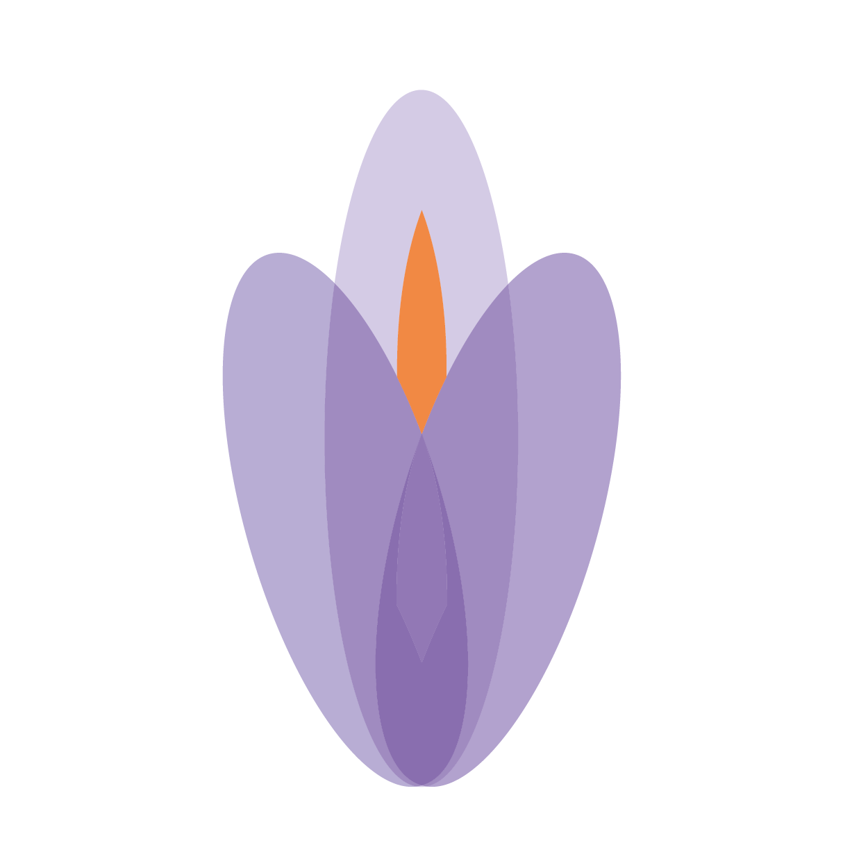 verapsaier_logo